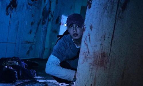 新丧尸片爆料是真的吗视频,揭秘视频背后的真实内幕