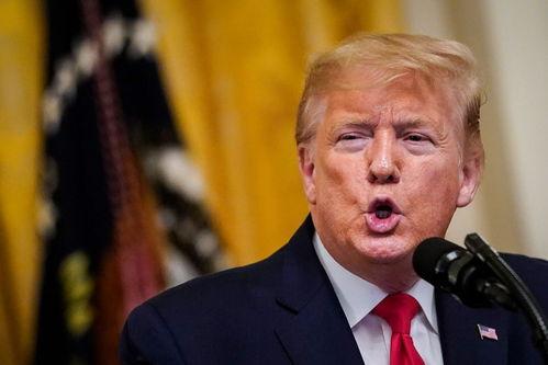 特朗普爆料福克斯视频在线观看 第2张 特朗普爆料福克斯视频在线观看 第2张